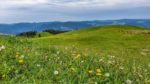 Motorradreise Schwarzwald - Vogesen