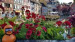 Colmar